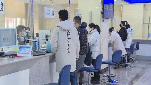 黑龍江 稅務(wù)服務(wù)推 三化 營(yíng)商環(huán)境有變化